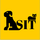 Sit - Pet Sitters in Morocco