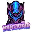 NontiquidVPN Pro APK