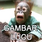 Gambar Lucu icon