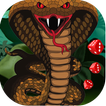 Snakes and Ladders Game icon