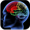Shuffle 'n Slide Brain Game APK
