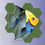 Undersea Hexa Puzzle