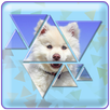 Triangle Puzzle Master APK