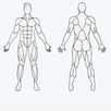 Muscle Wiki APK