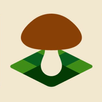 Mushroom Spot: грибная карта APK