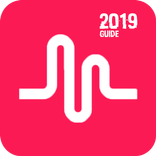 Tik tok & musically 2019 Guide and tips