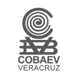 Cobaev
