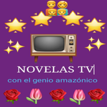 NOVELAS