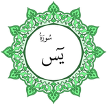 سورة يس بخط اليد الكبير
