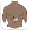 Probe Position Instructions Ultrasound APK