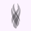 ikon Unitology writer