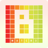 Block Puzzle Multicolor Match 