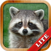 Animals for Kids APK