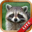 Animals for Kids ikon