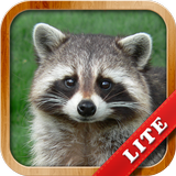 APK Animals for Kids