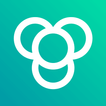 Devolutions Workspace icon
