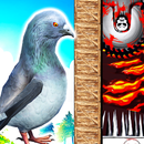 Pigeon Rescue - escape game-APK