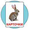 Развивающие карточки Домана APK
