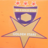 The Golden Stars International School