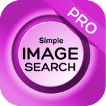 search using image