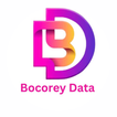 Bocorey Data icon