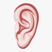 EAR biểu tượng