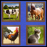 sonido de animales