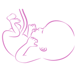 Curso Obstetricia y Ginecología