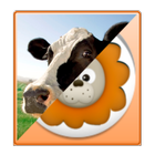 Memory Animal for Kids icon