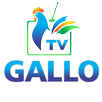Web TV Gallo APP APK