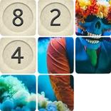 Fifteen: Competition