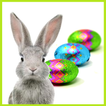 Easter Memory 图标