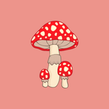 Mushroom identifier