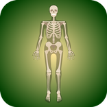 SkelePracti
