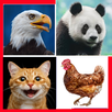 Animal Quiz Learn & Play game APK