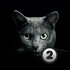 Find a cat 2 APK