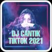 DJ Tiktok Full Bass Terbaru 2021 Offline APK