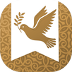 Study Bible explanation KJV APK