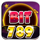 Bit789 Counter icon