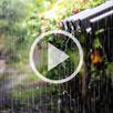 Heavy Rain Video Wallpaper APK