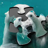 Jigsaw puzzle