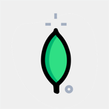 MongoGrip - MongoDB Client