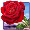 Rose. Magic Touch Flowers APK
