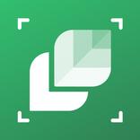 Plant Identifier: LeafSnap