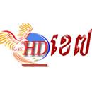 HD K7 Drama APK