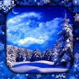 Winter Live-Hintergründe