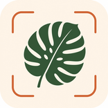 RePlant Pro – Identificador