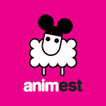 Festival Animest アイコン