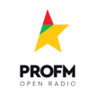 Pro FM icon