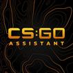 CS:2 Assistant icon
